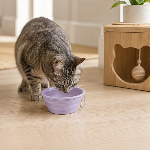 TravelTails Collapsible Pet Bowl