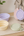 TravelTails Collapsible Pet Bowl