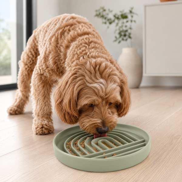 CalmGroove Slow Feeder & Enrichment Mat for Pets