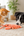 TumbleTail Interactive Shrimp Toy
