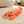 TumbleTail Interactive Shrimp Toy