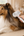 SteamSlick Self-Cleaning Pet Grooming Brush