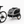 PawVoyage Pet Bike Trailer & Stroller