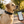 TrackMora Reflective Dog Collar with AirTag Holder