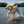 TrackMora Reflective Dog Collar with AirTag Holder