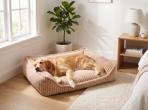 CordCove Bolster Dog Sofa Bed in everyday use