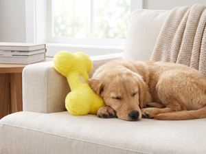 HonkBone Squeaky Plush Dog Toy in everyday use