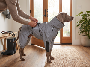 AstroGlow Reflective Dog Rain Coat in everyday use