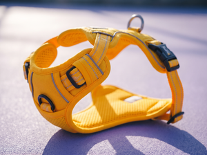 TrailFlex Reflective Dog Harness detail close up