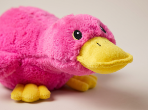 QuackBuddy Plush Duck Dog Toy detail close up