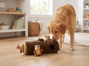 AcornHunt Hide and Seek Puzzle Dog Toy in everyday use
