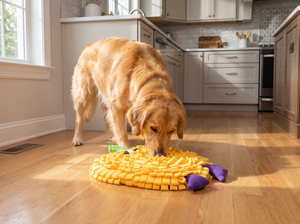 VeggieSniff Interactive Snuffle Mat in everyday use