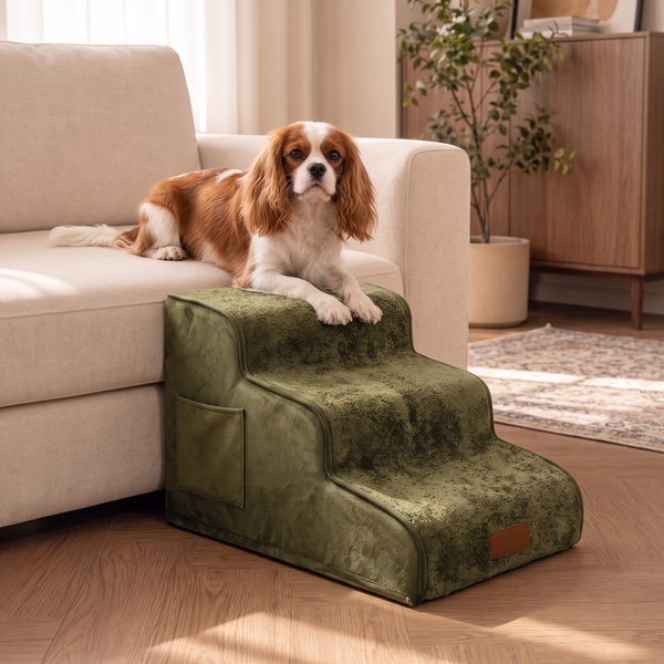 LoftPaws - Green, with a spaniel