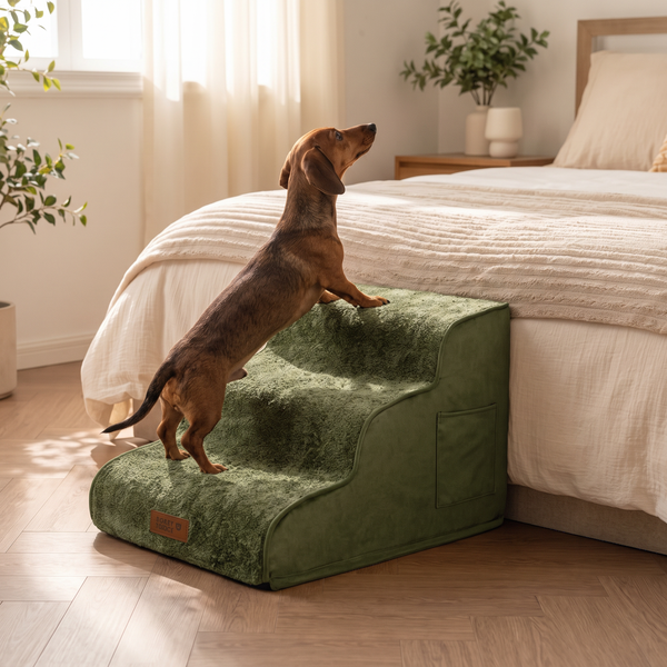 LoftPaws - Green, with a dachshund