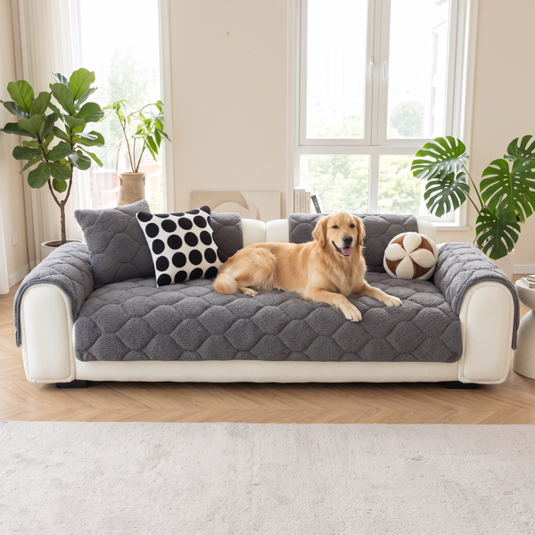 SherpaMist - Dark Grey, with a dog