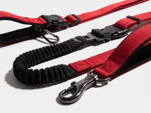 StrideSix 6 in 1 Hands Free Dog Lead detail close up