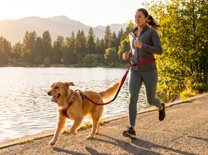 StrideSix 6 in 1 Hands Free Dog Lead lifestyle photo