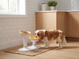 LiftDuo Raised Double Pet Bowl in everyday use
