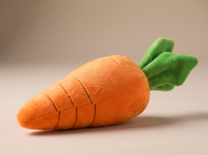 CarrotCrunch Squeaky Plush Dog Toy detail close up