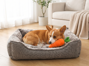 CarrotCrunch Squeaky Plush Dog Toy in everyday use