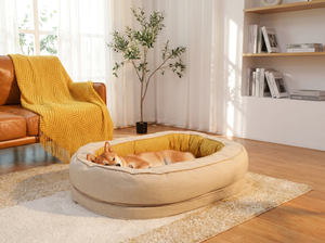 HugRing Orthopaedic Donut Dog Bed in everyday use