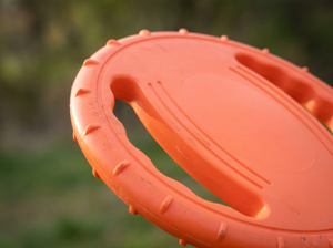 WheelFling Interactive Dog Flying Disc detail close up
