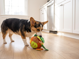 SnuffLeaf Treat Hiding Puzzle Ball Toy in everyday use