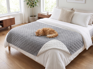 DrySpread Water Repellent Pet Blanket in everyday use