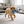 HonkBone Squeaky Plush Dog Toy Blue in use