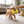 HonkBone Squeaky Plush Dog Toy Yellow in use
