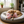 HonkBone Squeaky Plush Dog Toy Pink in use