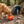 TrailFold Collapsible Dog Bowl Orange in use