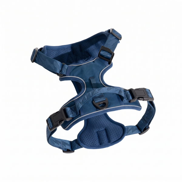 TrailFlex Reflective Dog Harness Blue on white background