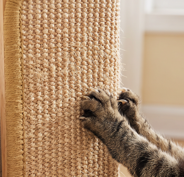 CornerClaw Faux Sisal Cat Scratcher close-up of cat claws on the sisal