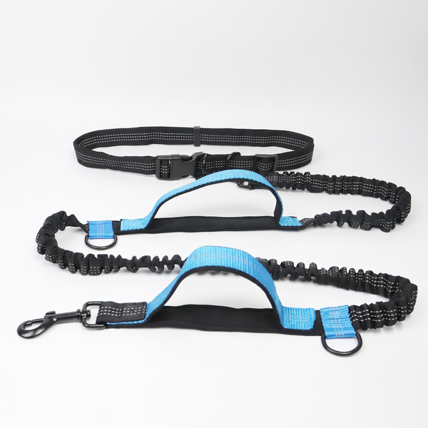 StrideSix 6-in-1 Hands-Free Dog Lead - Lake Blue