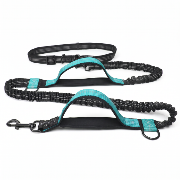 StrideSix 6-in-1 Hands-Free Dog Lead - Aqua Green