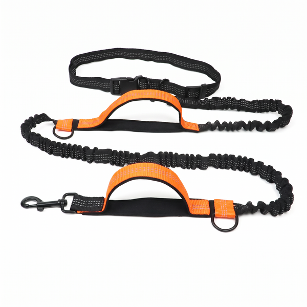 StrideSix 6-in-1 Hands-Free Dog Lead - Orange