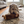 AcornHunt Hide-and-Seek Puzzle Dog Toy (Brown) in use
