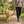 StrideSix 6-in-1 Hands-Free Dog Lead (Red) in use