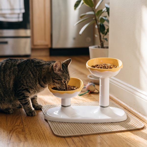 LiftDuo Raised Double Pet Bowl (Yellow) in use