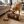 AcornHunt Hide-and-Seek Puzzle Dog Toy (Brown) in use