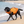 TideBuoy Ripstop Dog Life Jacket in Orange - beach water's edge