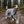 AstroGlow Reflective Dog Rain Coat in Coat - lifestyle 2