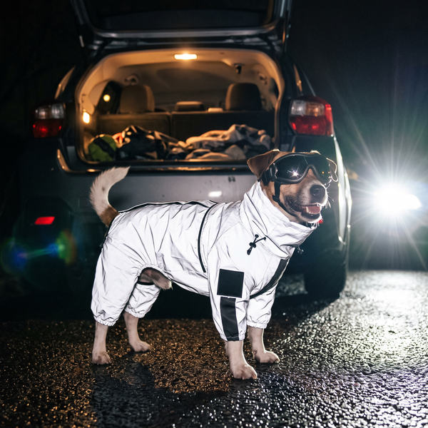 AstroGlow Reflective Dog Rain Coat in Coat & Goggles - lifestyle 2