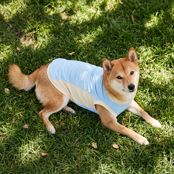 SunWisp Ice Silk Cooling Dog Vest in Blue - lifestyle 2