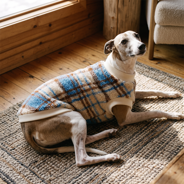 TartanHug Plush Dog Jumper in Blue - lifestyle 2