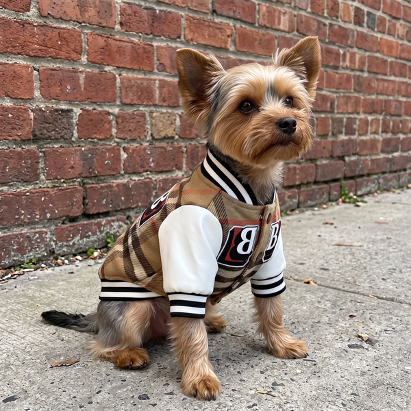 PlaidSlugger Sporty Baseball Dog Jacket in Fleece baseball jacket - lifestyle 2