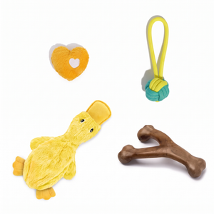 ChewQuartet Dog Toy Set Interactive Squeaky Chew Bundle