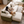 LambLoft White lifestyle photo