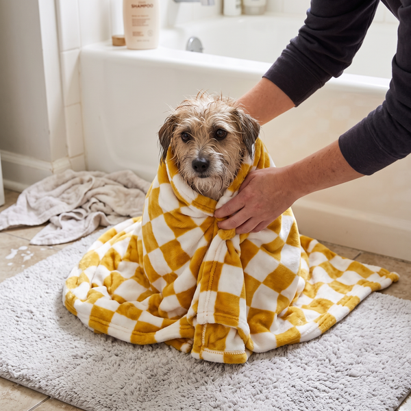 PlaidPetal Yellow lifestyle photo